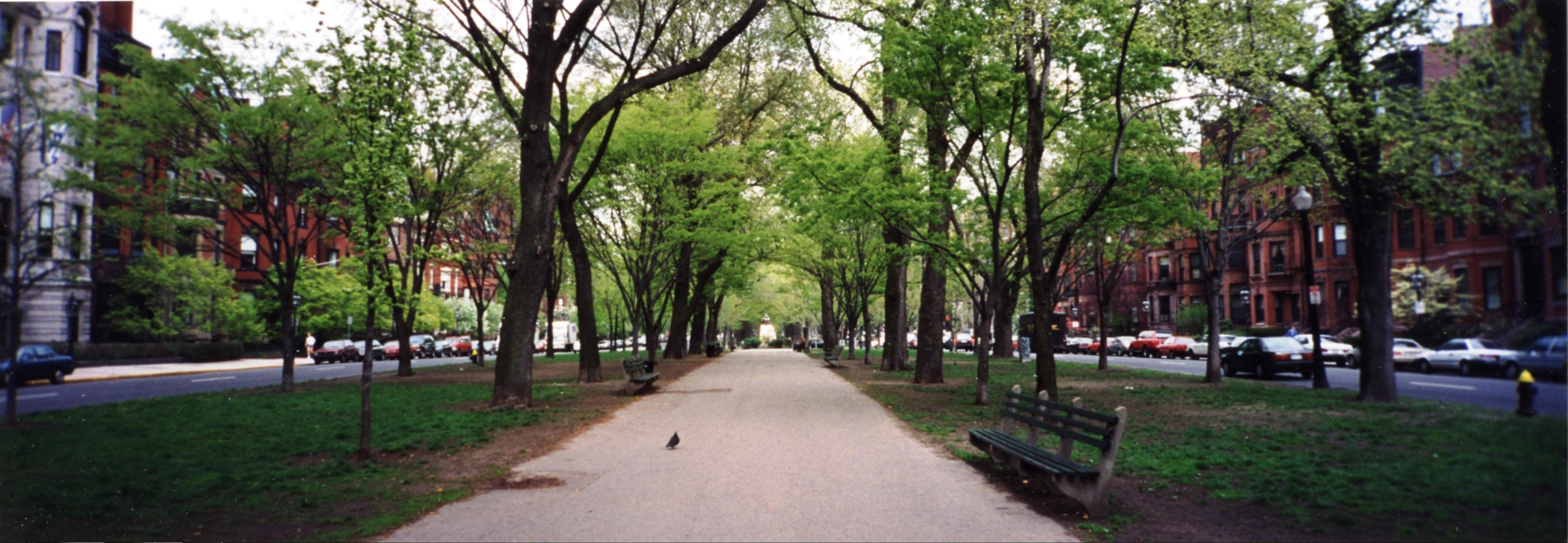Back Bay Boston brownstone row houses tree-lined street